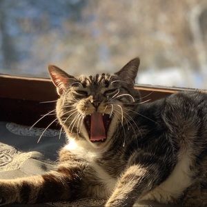 Meet your Posher, Katherine